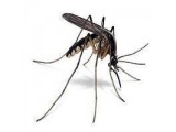 Средства от комаров и москитов